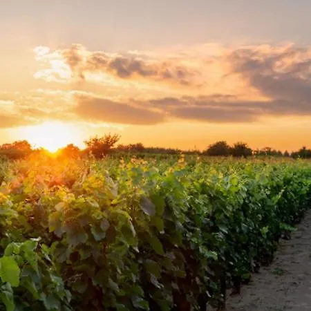 Maison Casa Milesa - Calme, Privatif Sur Demande, Parking Securise, A 12 Min Des Plages نيس