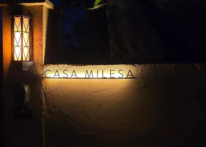 Nyaraló Maison Casa Milesa - Calme, Privatif Sur Demande, Parking Securise, A 12 Min Des Plages Nizza